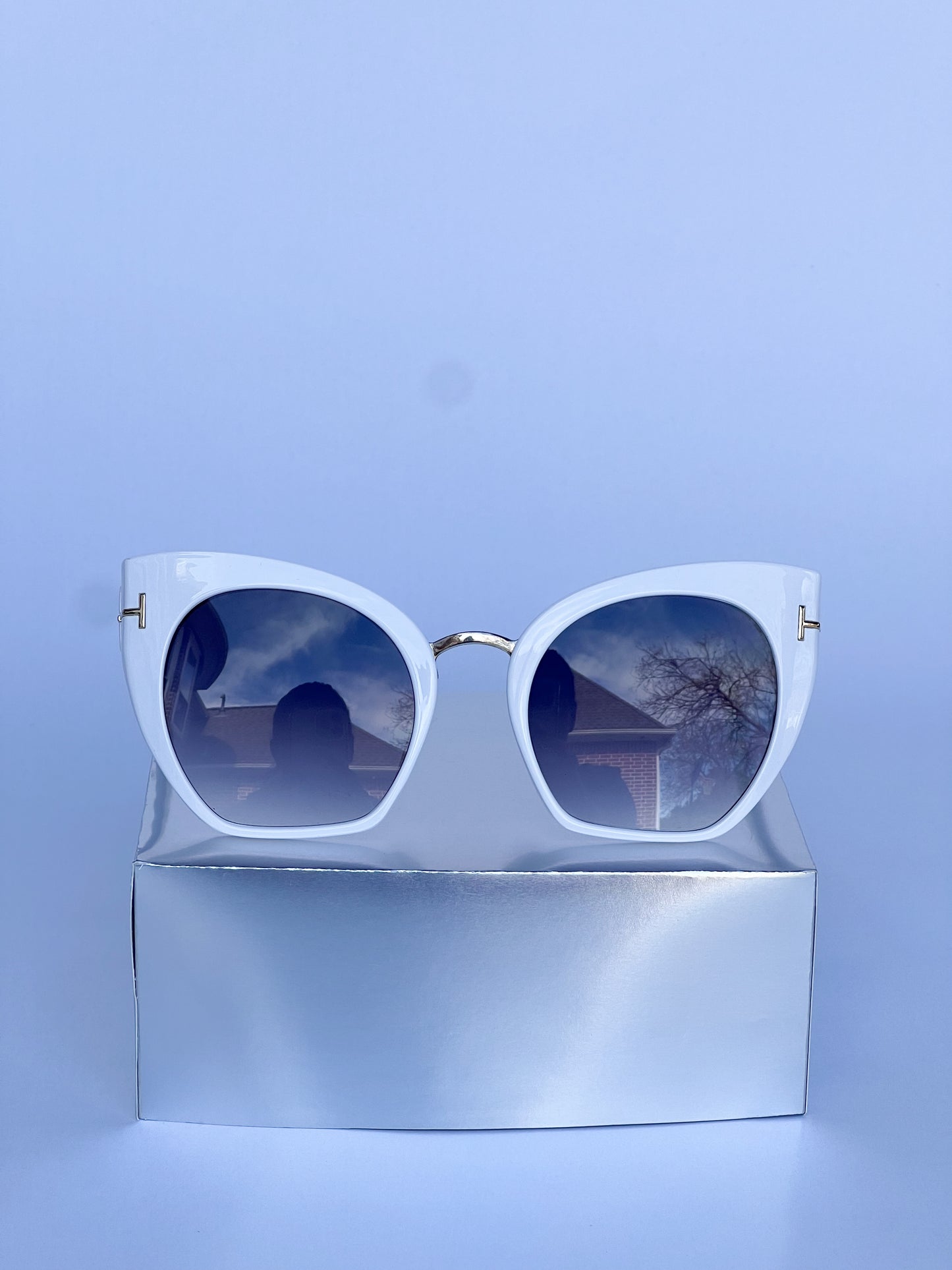 Sunglasses - Venice